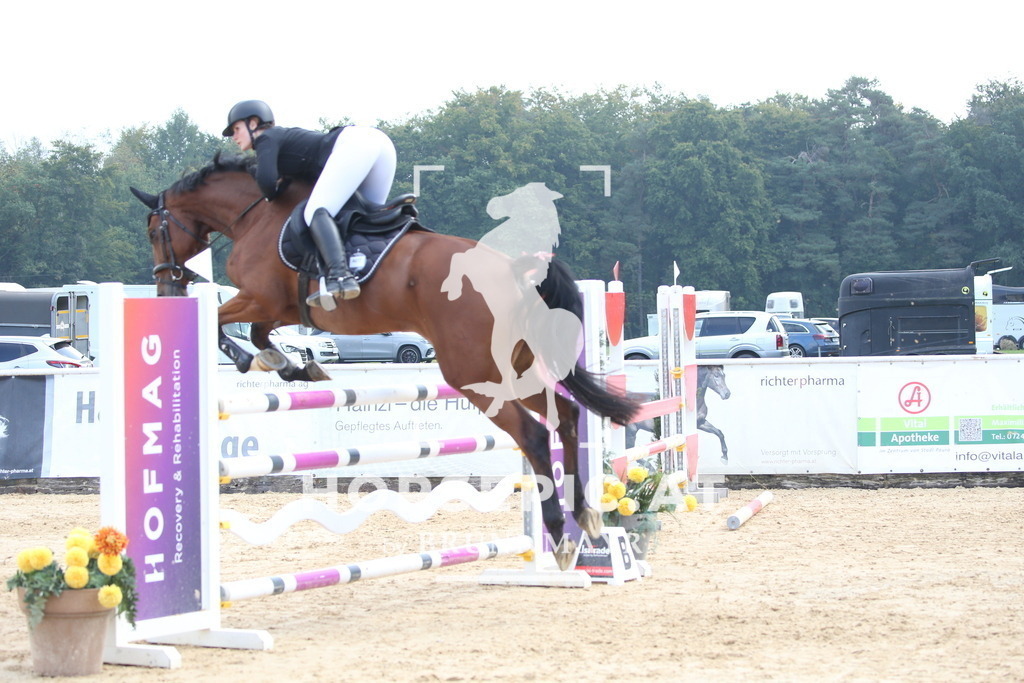 DL2Q4394 | Willkommen bei Brunnmayr - Design & Fotografie – Ihrem Spezialisten für Reitturniere und Pferdeveranstaltungen in Oberösterreich, Salzburg und Bayern! Seit über 17 Jahren sind wir leidenschaftlich dabei.