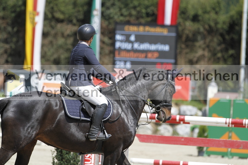 _MG_7355 | equestrian-live-com