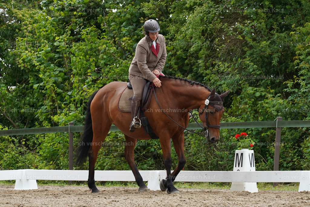 KlasseL_Lucie993 | working equitationturnier fotograf videograf stoibphotography marixx film working equitation deutschland reitsport turnierfotografie eventfotografie equestrian events