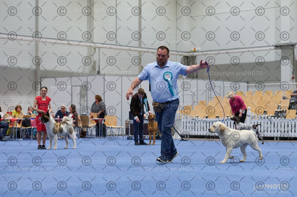 202406_ÖKV-IHA-Tulln24_DSC_3391 | proPHOTO - Realisiert mit Pictrs.com