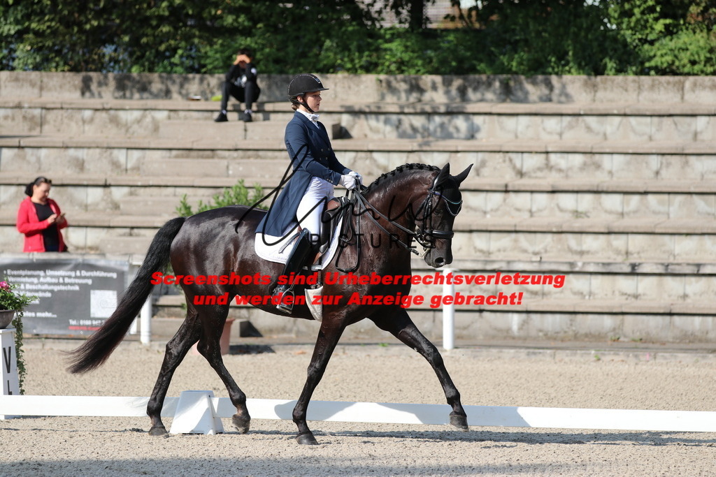 IMG_8998 | lmwpictures - Realisiert mit Pictrs.com