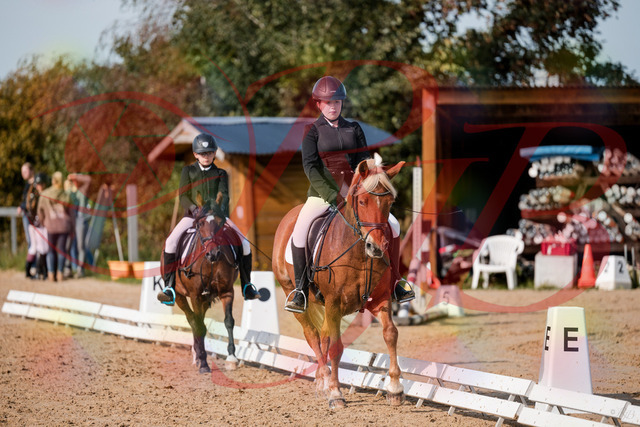 2026_10_03_Siefer-Hof_122048_Z63_44096665 | Professionelle Reitsport-, Turnier- und Eventfotografie von Robert Broda. Galerien mit ausgewählten und bearbeiteten Bildern direkt online ansehen und bestellen.