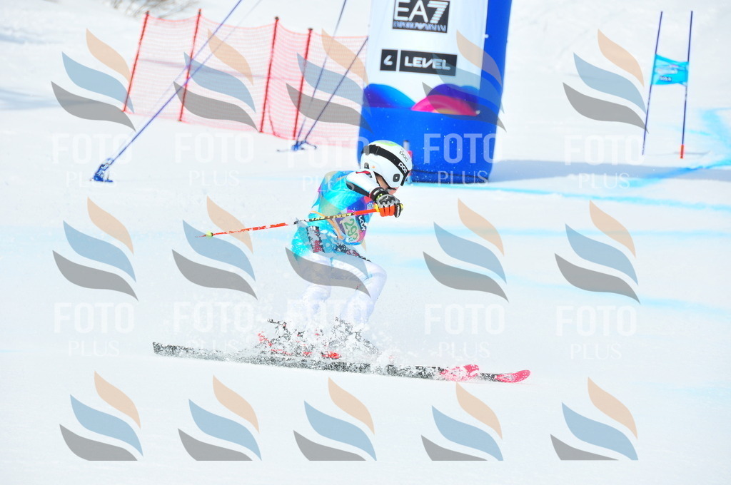 DSC_2740 | holidayphoto