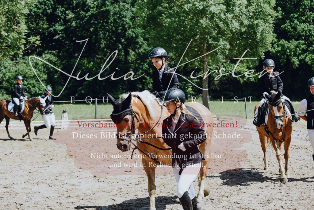 DSC_2608 | Pferde- und Turnierfotografie in Westsachsen. Pferdeportraits, Auftragszeichnungen und intuitive Kunst.