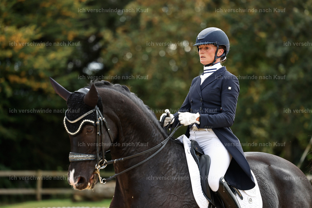 11-042-Dressur S___-StoibPH-1180 | working equitationturnier fotograf videograf stoibphotography marixx film working equitation deutschland reitsport turnierfotografie eventfotografie equestrian events