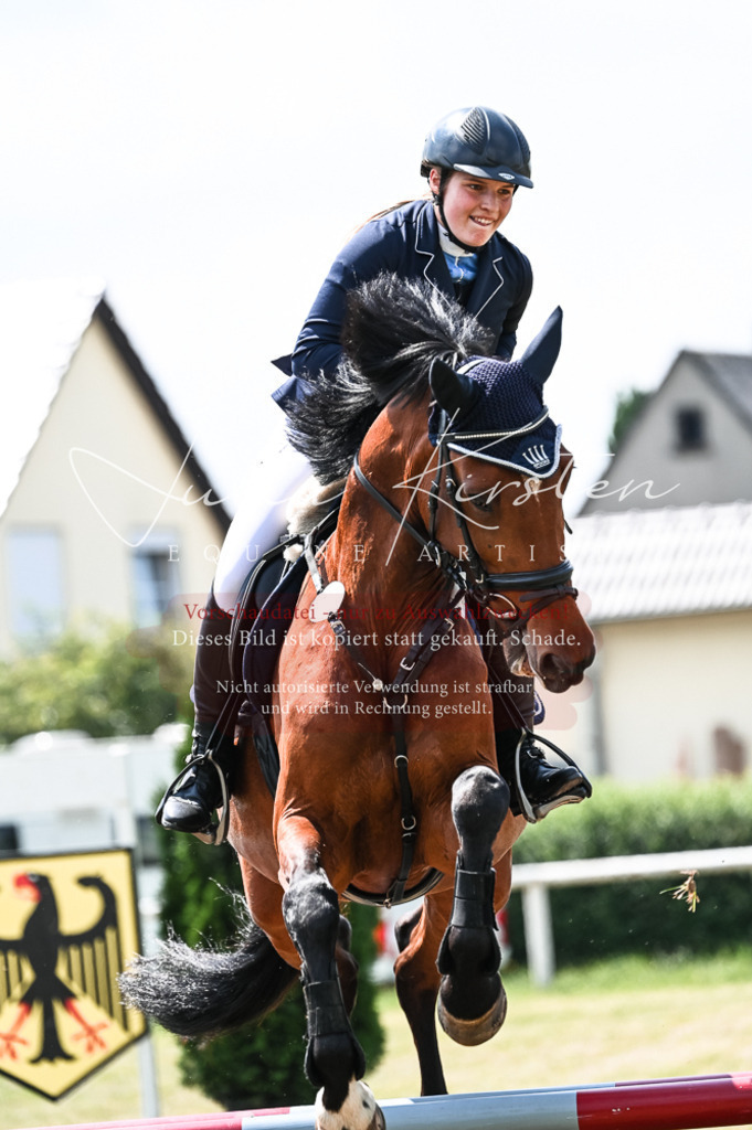 DSC_9335 | Pferde- und Turnierfotografie in Westsachsen. Pferdeportraits, Auftragszeichnungen und intuitive Kunst.