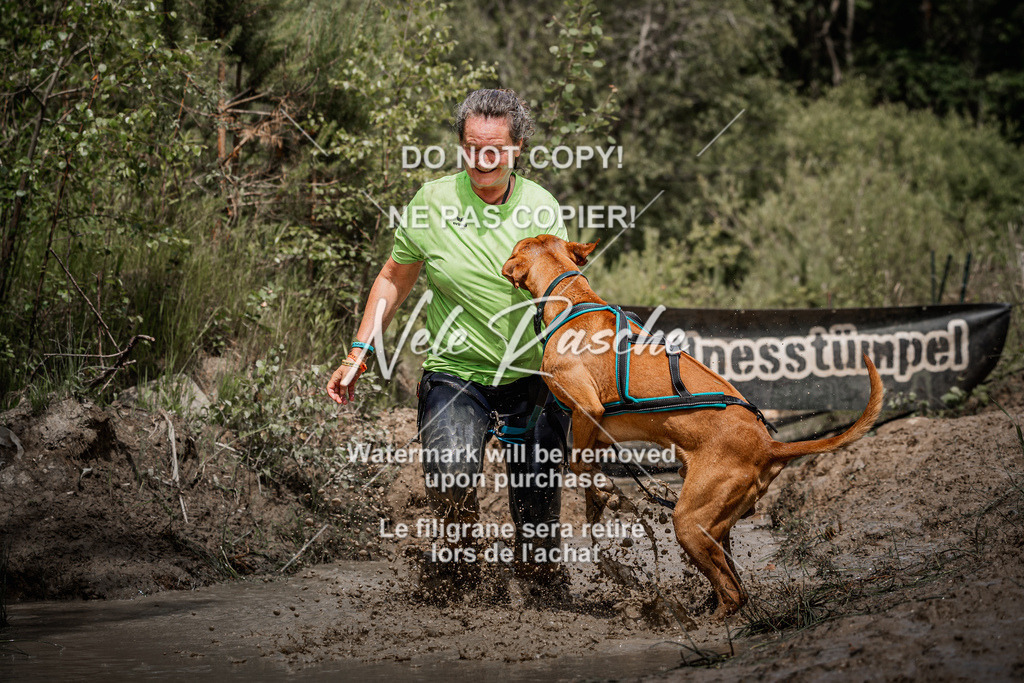 nelerasche_Hoope2026_Sa1200-1230_733 | nelerasche