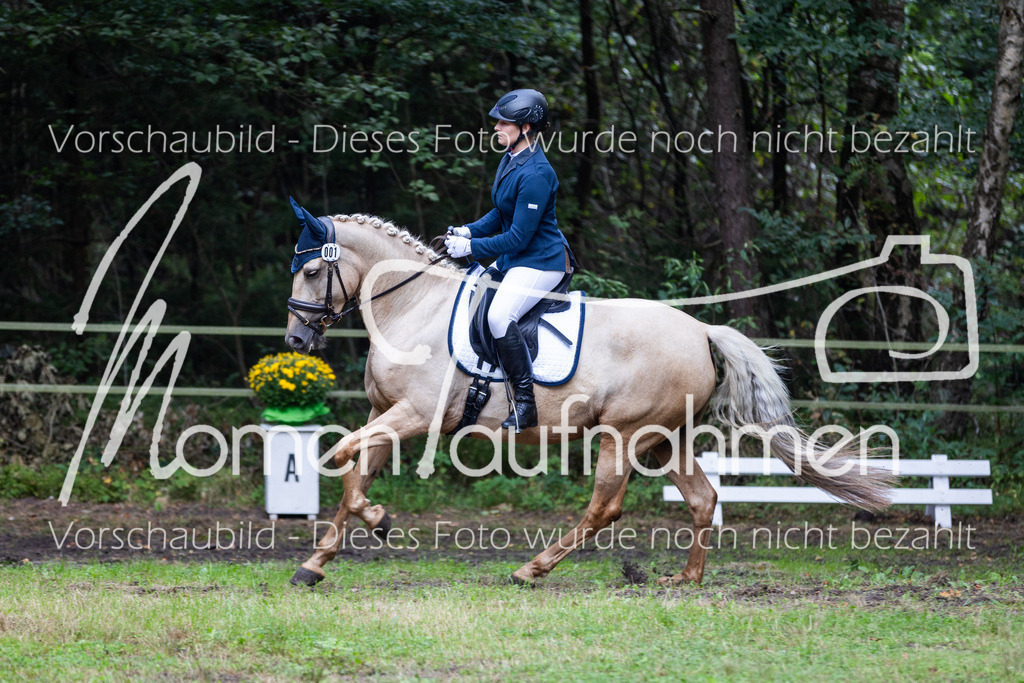 HB-A-Dressur-073 | MomenTaufnahmen Pferdesportfotos