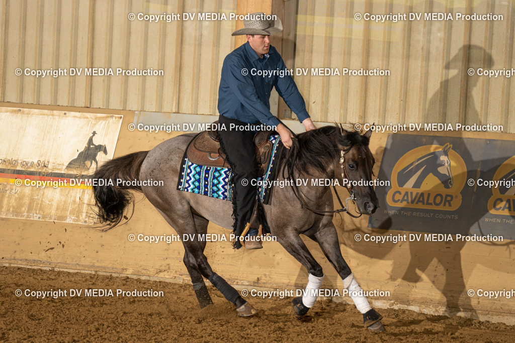 LAU01325 | dv-media-shop - Realisiert mit Pictrs.com