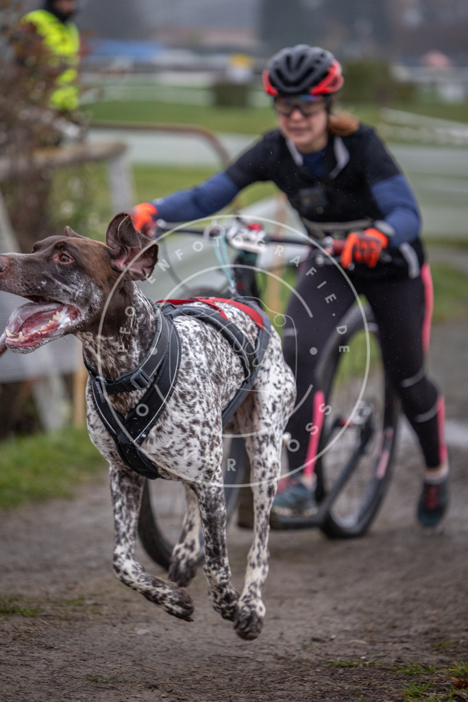 CaniXpix_0L8A0857 | Hundefotografie, Tierfotograf, Pfotenfotografie, Fotoshooting Hund, Hunde Portrait, Hundesport, Hundeportraits, Heideshooting, Hunde, Sportfotograf, Hundefotograf, Turnierhundsport, THS,  - Realisiert mit Pictrs.com