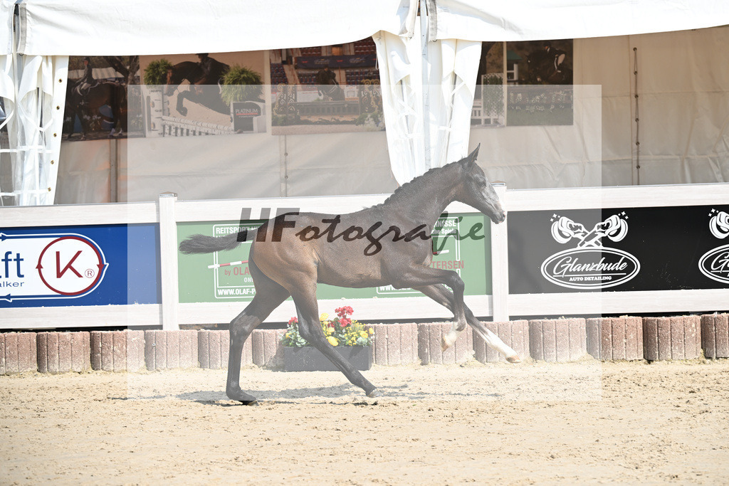 Esperanto x Boss Hoss_SF_Kraft_12250266 | hf-fotografie - Realisiert mit Pictrs.com