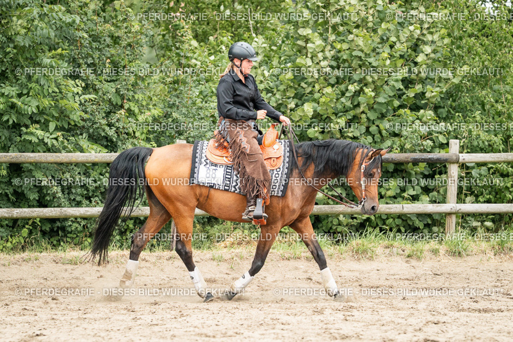 DSC04349 | Pferdegrafie