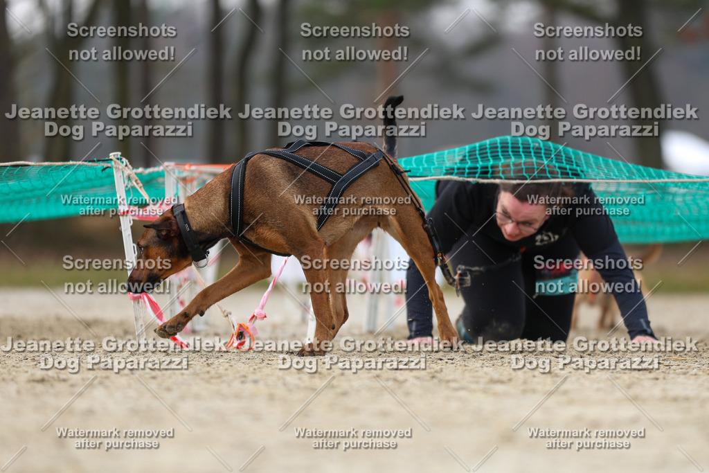 Dog Paparazzi - Strongdog North Mrz26-4458 | Dog Paparazzi Jeanette Grottendiek Fotografie & Videografie - Realisiert mit Pictrs.com