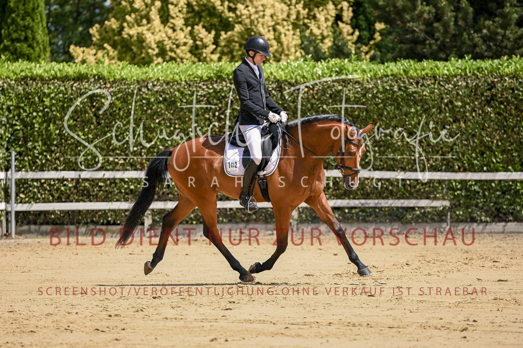 Schugtsche-Aluta25-48.Reitpferfdeprf.-240 | Schugtsche Fotografie - Realisiert mit Pictrs.com