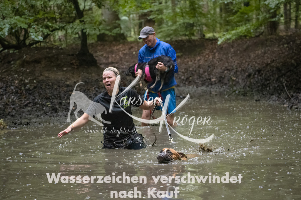 0957_ZZ91586-Bearbeitet | kk-dogfotos