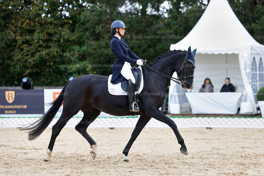 10-190-ST.GEORG SPECIAL -StoibPH-3230 | working equitationturnier fotograf videograf stoibphotography marixx film working equitation deutschland reitsport turnierfotografie eventfotografie equestrian events