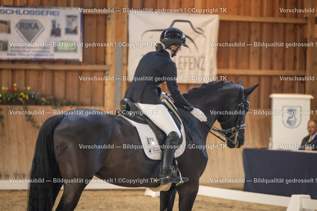 _D5A3171 | Emotionale Pferde- & People-Fotografie rund um Heidelberg, Leimen & Umgebung. Natürliche Fotos von Pferd, Mensch & Familie. Jetzt Termin sichern!