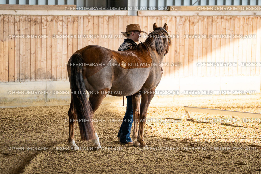 DSC07495 | Pferdegrafie