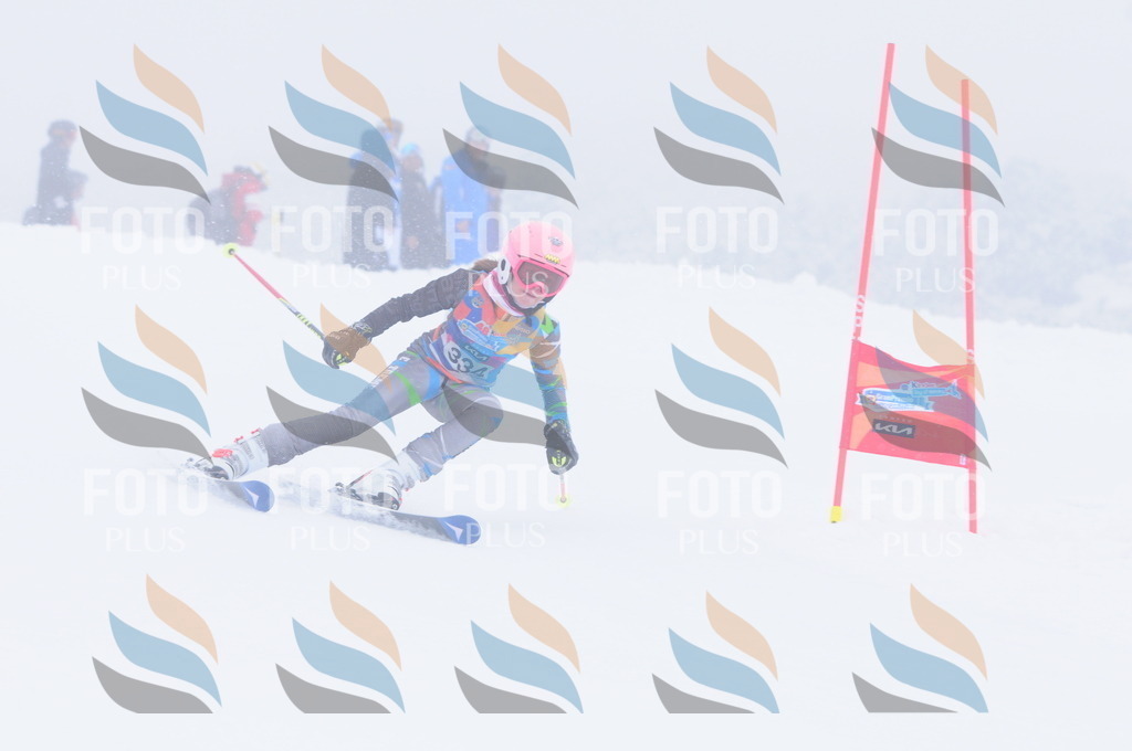 C3579 | holidayphoto