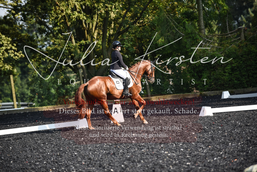 DSC_3257 | Pferde- und Turnierfotografie in Westsachsen. Pferdeportraits, Auftragszeichnungen und intuitive Kunst.