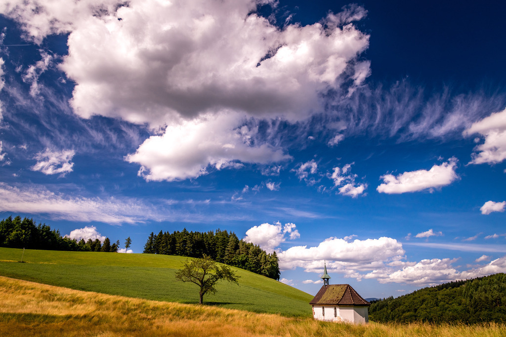 mtb130626-25 | <div id="allefotografen-seal-verified-green"></div><script src="https://www.allefotografen.de/956728/seal-verified-green/seal.js" async="async"></script> - Realisiert mit Pictrs.com