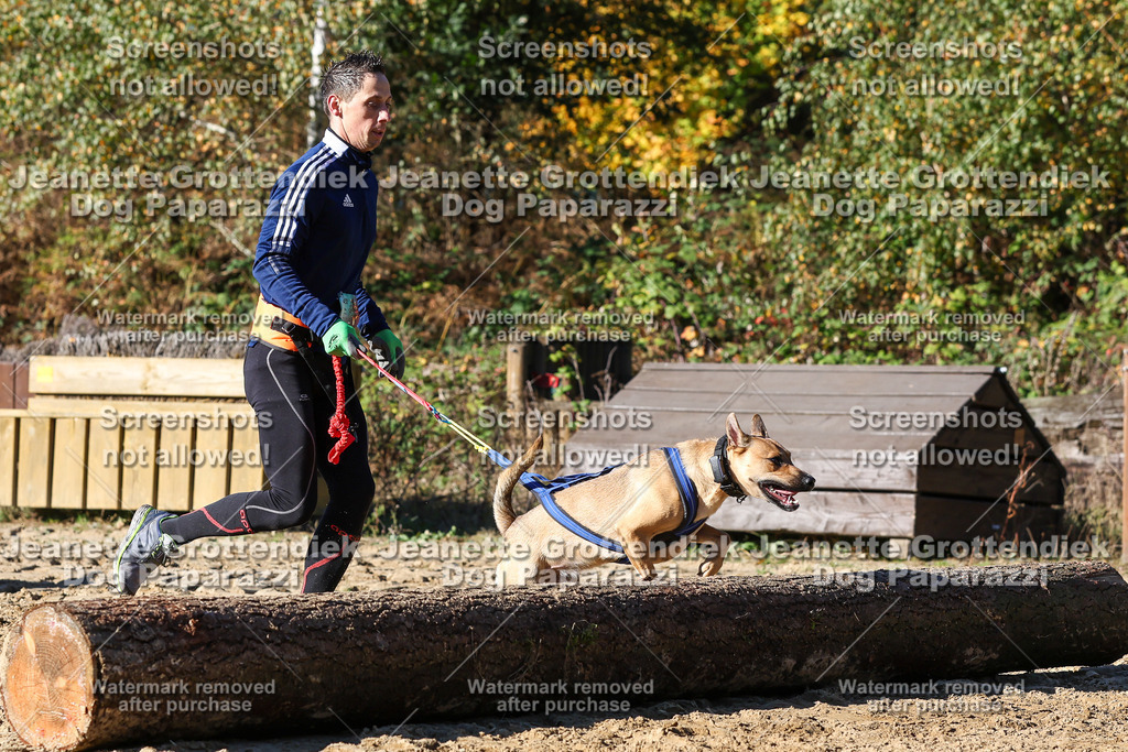 Dog Paparazzi - Strongdog 10-25-2555 | Dog Paparazzi Jeanette Grottendiek Fotografie & Videografie - Realisiert mit Pictrs.com