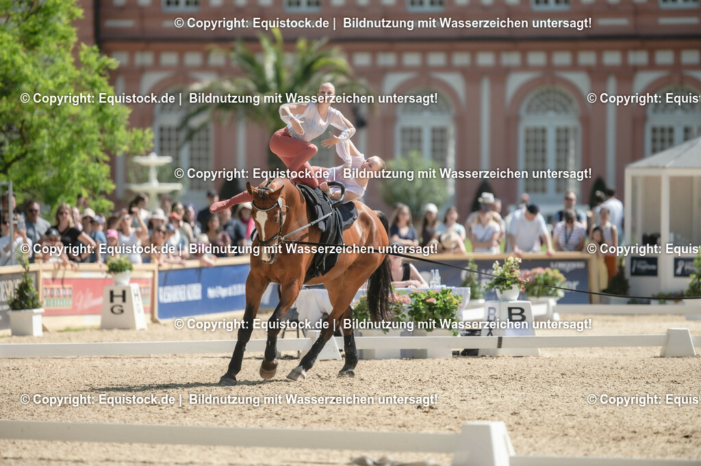 20230528_Voltigieren_NASPA_0368 | equistock