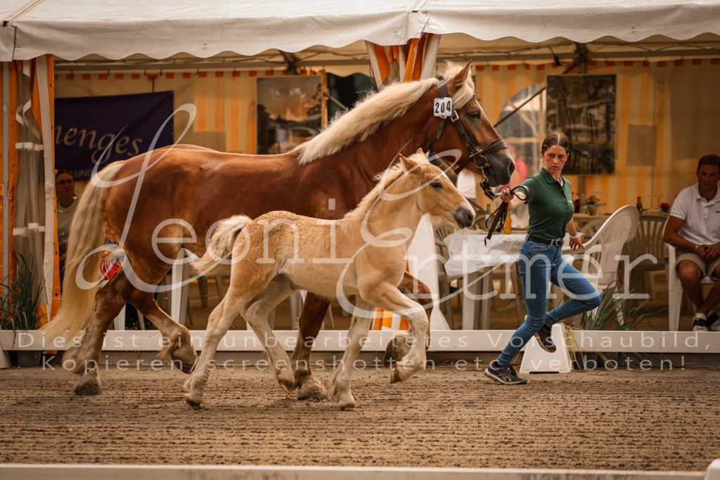 SaSF00013 | Leoni Ertmer Photography - Realisiert mit Pictrs.com