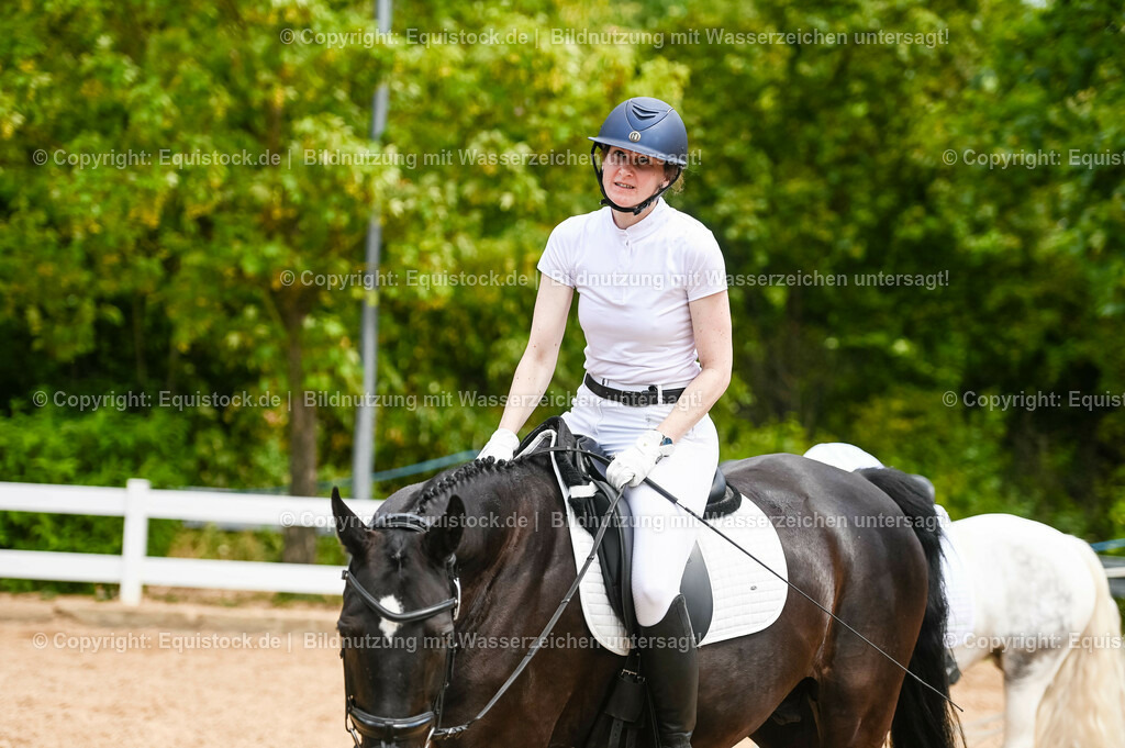 20230715_05_Dressurprüfung Kl.A++_0292 | equistock