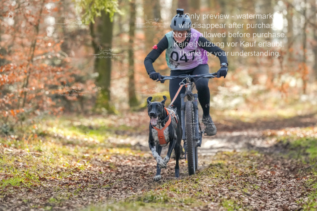 So_Bike_2-1 | stephaniefillaphotographie - Realisiert mit Pictrs.com