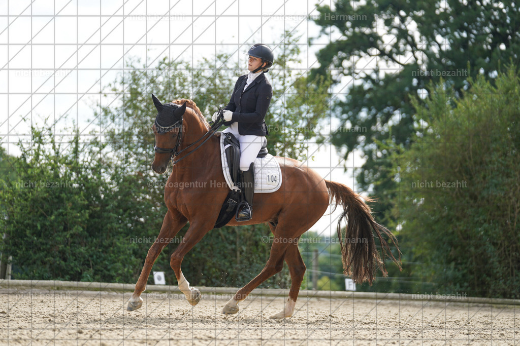 20230826-FAH06156 | Forstinning, 2023, Dressurturnier, Turniersportbilder, Turnierfotografen Bayern, Fotoagentur Herrmann, Reitsportfotografie, Turnierbilder