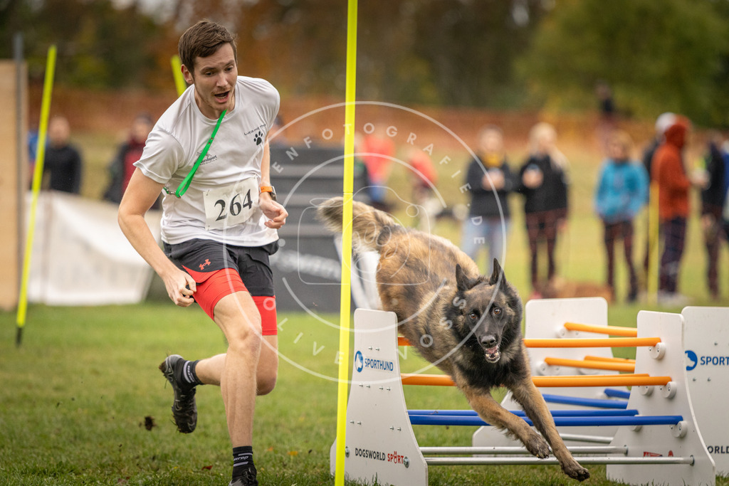 Pfotenfotografie_DV3A7001 | Hundefotografie, Tierfotograf, Pfotenfotografie, Fotoshooting Hund, Hunde Portrait, Hundesport, Hundeportraits, Heideshooting, Hunde, Sportfotograf, Hundefotograf, Turnierhundsport, THS,  - Realisiert mit Pictrs.com