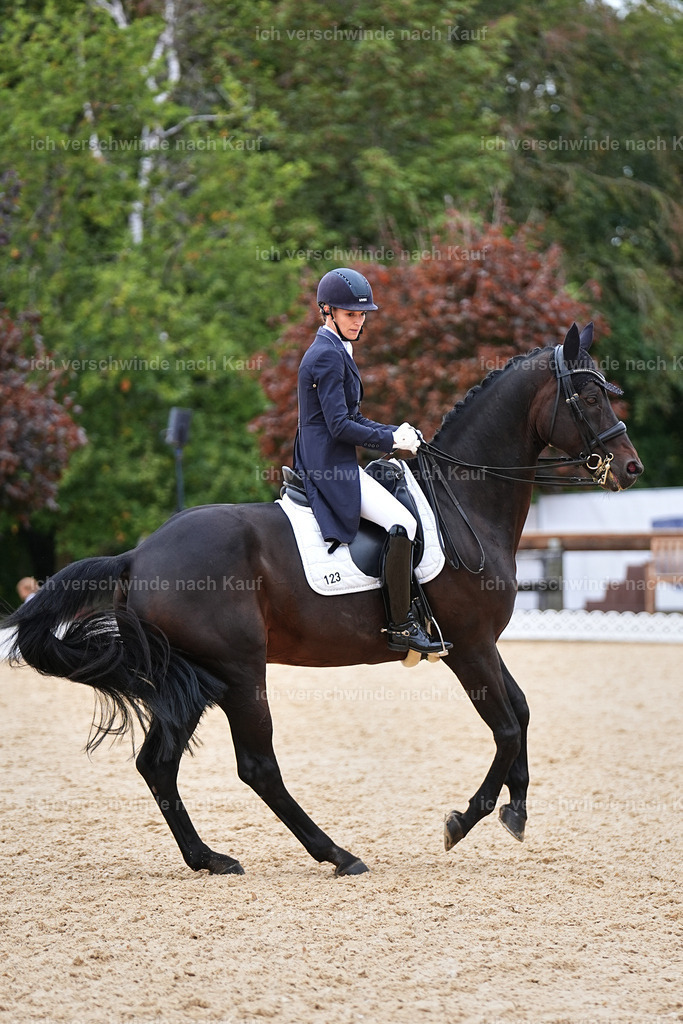 11-123-Dressur S___-Marixx-1536 | working equitationturnier fotograf videograf stoibphotography marixx film working equitation deutschland reitsport turnierfotografie eventfotografie equestrian events