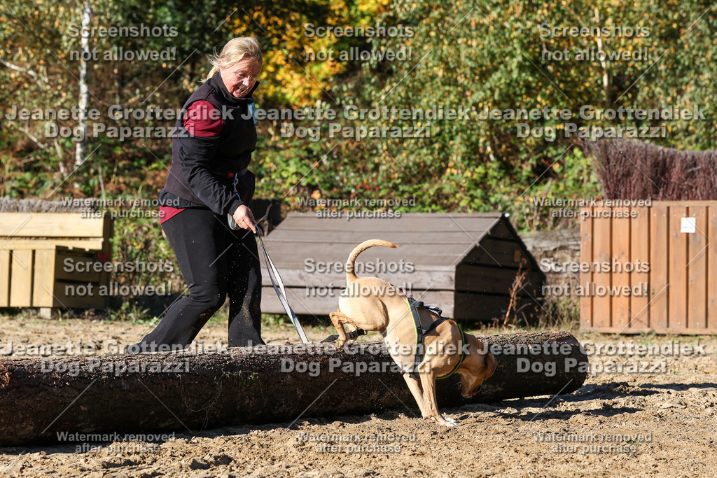 Dog Paparazzi - Strongdog 10-25-2132 | Dog Paparazzi Jeanette Grottendiek Fotografie & Videografie - Realisiert mit Pictrs.com