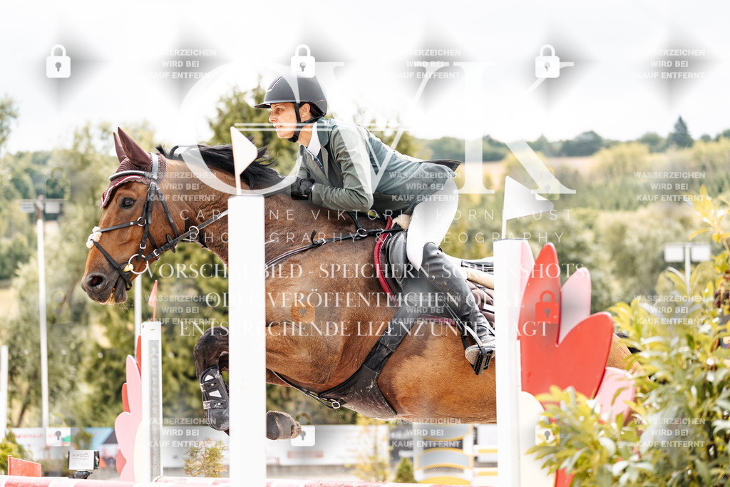 CK909590 | Turnierfotografie Pferdefotografie Trier Rheinland-Pfalz Pferdesport Reitsport Tierfotografie Sportfotografie Pferdevideo Pferdevideografie Equestrianvideography equestrianphotography  - Realisiert mit Pictrs.com