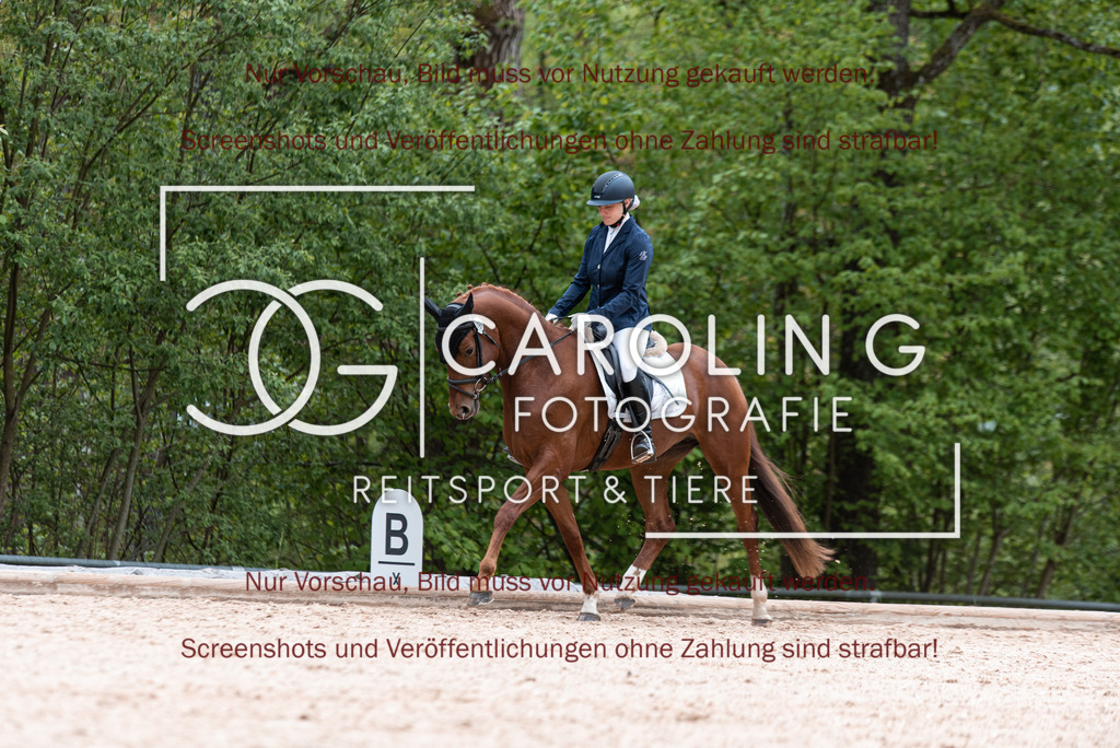 DSC_6843 | Turnierfotografin Carolin Gieschke,Reitsport Turnierfotografie Carolin G Fotografie | Turnierfotos aus Kirchheim/Teck, Esslingen, Stuttgart und dem Bodenseekreis