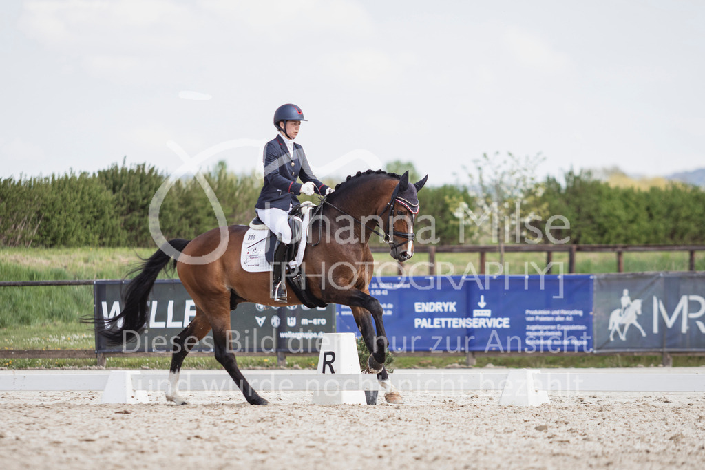 250416_Dressurpferde-L-266 | Deine schönsten Turniermomente als professionelle Fotos! Entdecke hochwertige Pferdesport-Fotografie im Online-Shop. Jetzt Fotos finden & bestellen!