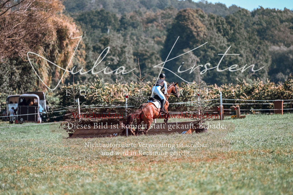 DSC_0677 | Pferde- und Turnierfotografie in Westsachsen. Pferdeportraits, Auftragszeichnungen und intuitive Kunst.