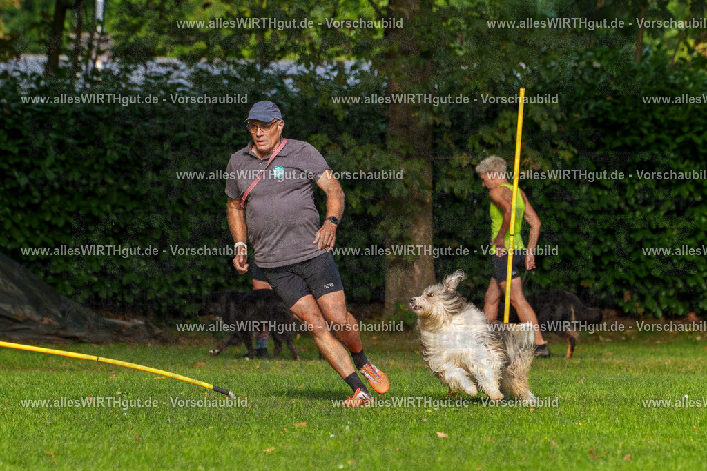 THS_Turnier_27-09-2026-allesWIRTHgut_Tierfotografie-7R506353 | Professionelle Tierfotografie in Mönchengladbach von Daniel Wirth (allesWIRTHgut). Liebevolle & natürliche Bilder von Hunden & Katzen für unvergessliche Erinnerungen.