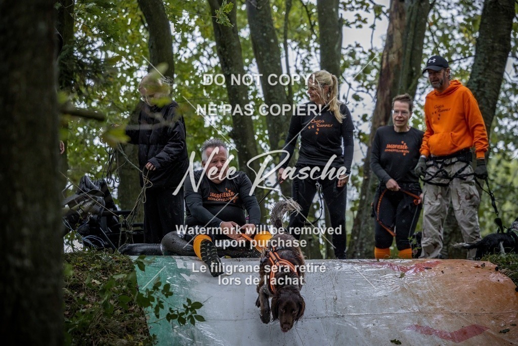 nelerasche_Hunsrück_Sa0930-1000_12-final | nelerasche