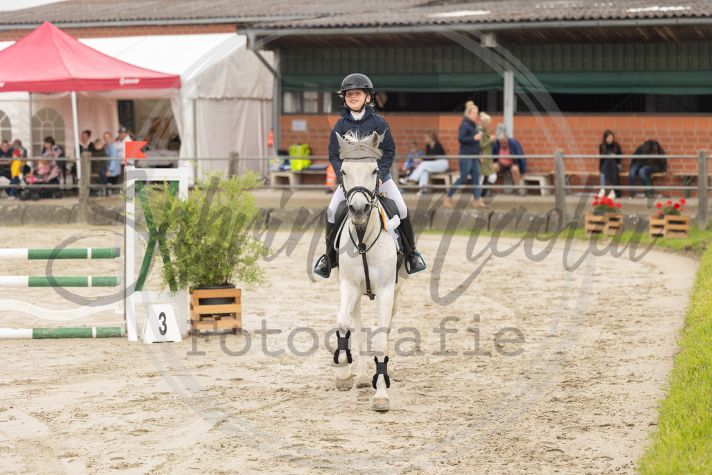 994A9136 | sabrinanicolaifotografie - Realisiert mit Pictrs.com