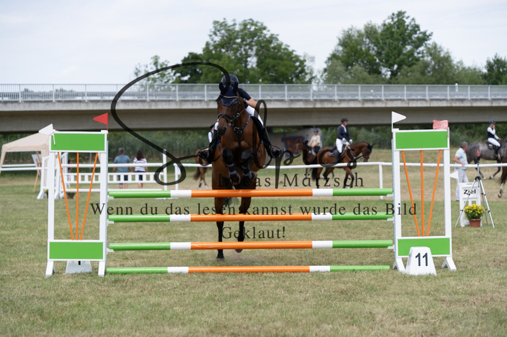 A7V01906 | Pferdefotograf