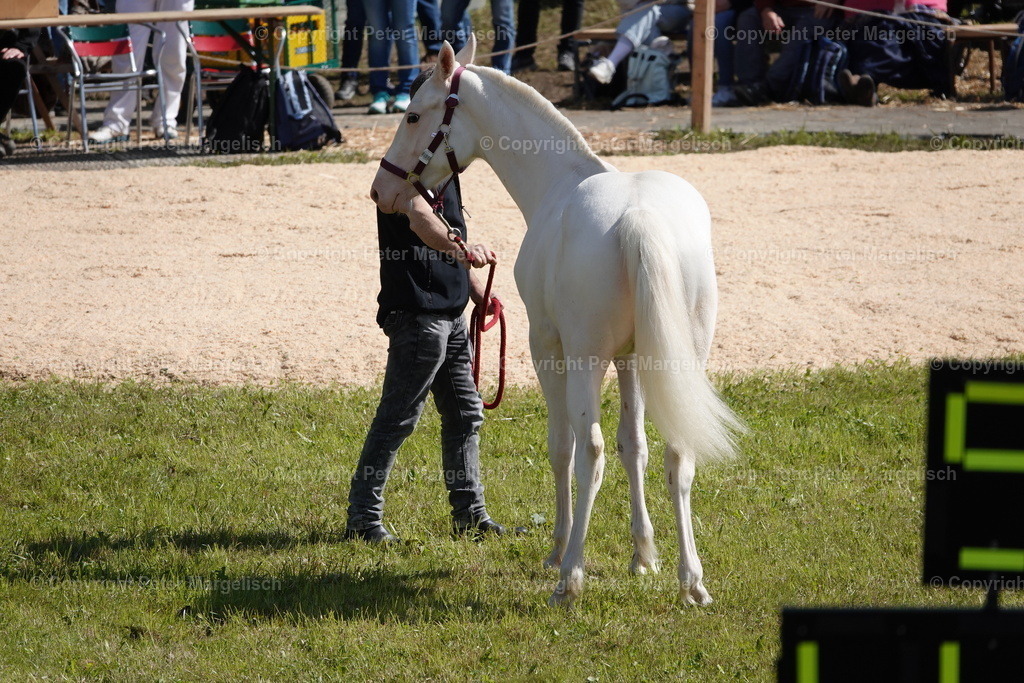 DSC02441 | Schwingen - Realisiert mit Pictrs.com