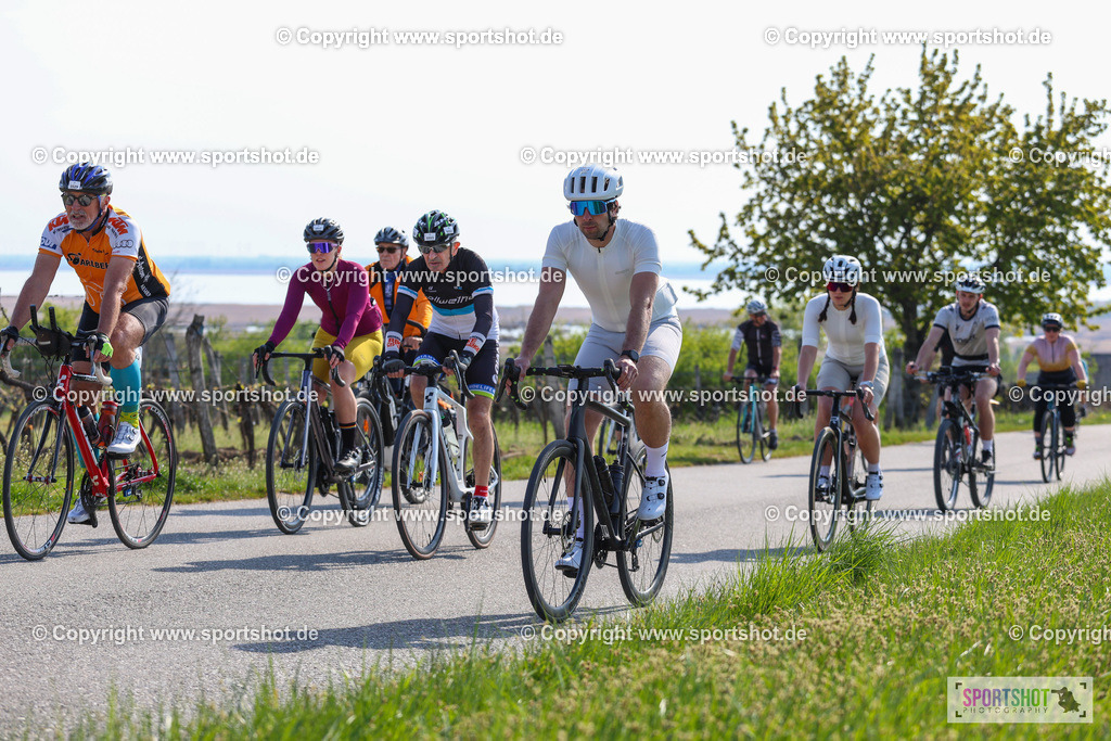 IMG_2017 | @sportshot_your_pictrs #yourpictures#roadtowm2029 #nrm #neusiedlerseeradmarathon #neusiedlersee #neusiedlerseetourismus #burgenland #mörbisch #nrm26 #burgenlandtourismus #voglundco #poweredbyburgenlandtourismus #radsport #rad #marathon #ucigranfondo #visitburgenland #ucigranfondoworldseries