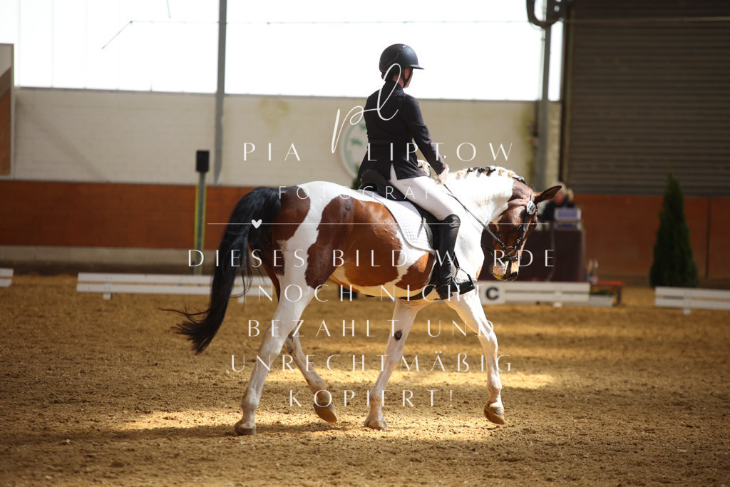 IMGT4602 | pl-fotografie