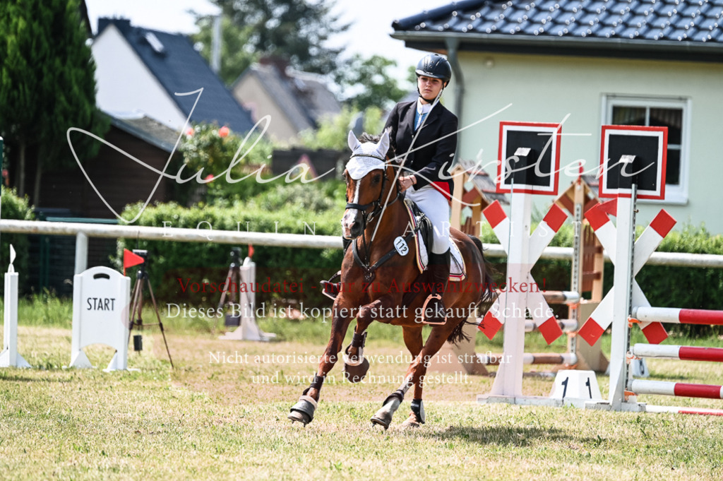 DSC_9448 | Pferde- und Turnierfotografie in Westsachsen. Pferdeportraits, Auftragszeichnungen und intuitive Kunst.