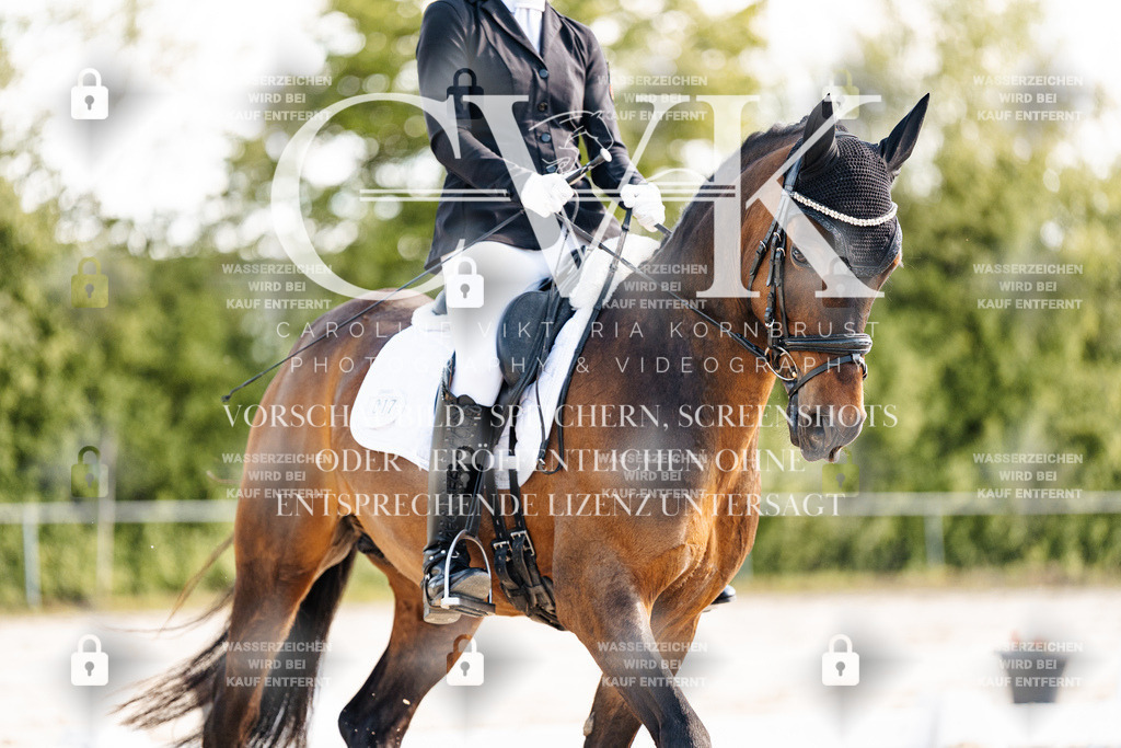 CK909535 | Turnierfotografie Pferdefotografie Trier Rheinland-Pfalz Pferdesport Reitsport Tierfotografie Sportfotografie Pferdevideo Pferdevideografie Equestrianvideography equestrianphotography  - Realisiert mit Pictrs.com