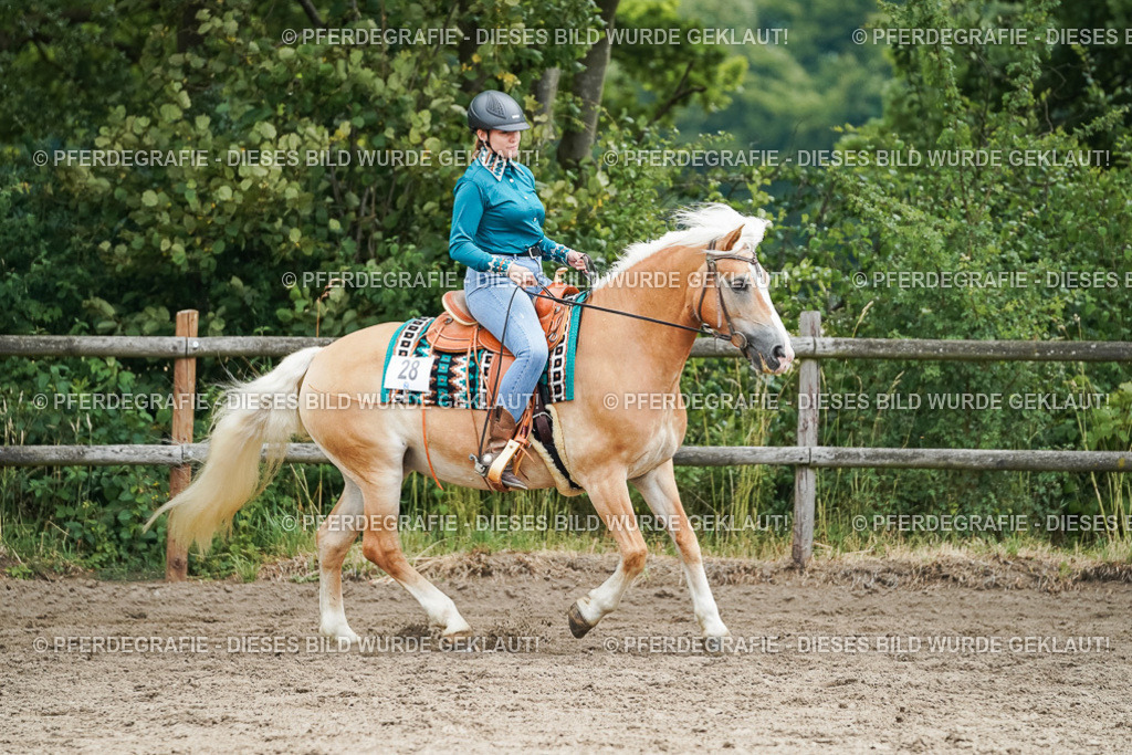 DSC04240 | Pferdegrafie