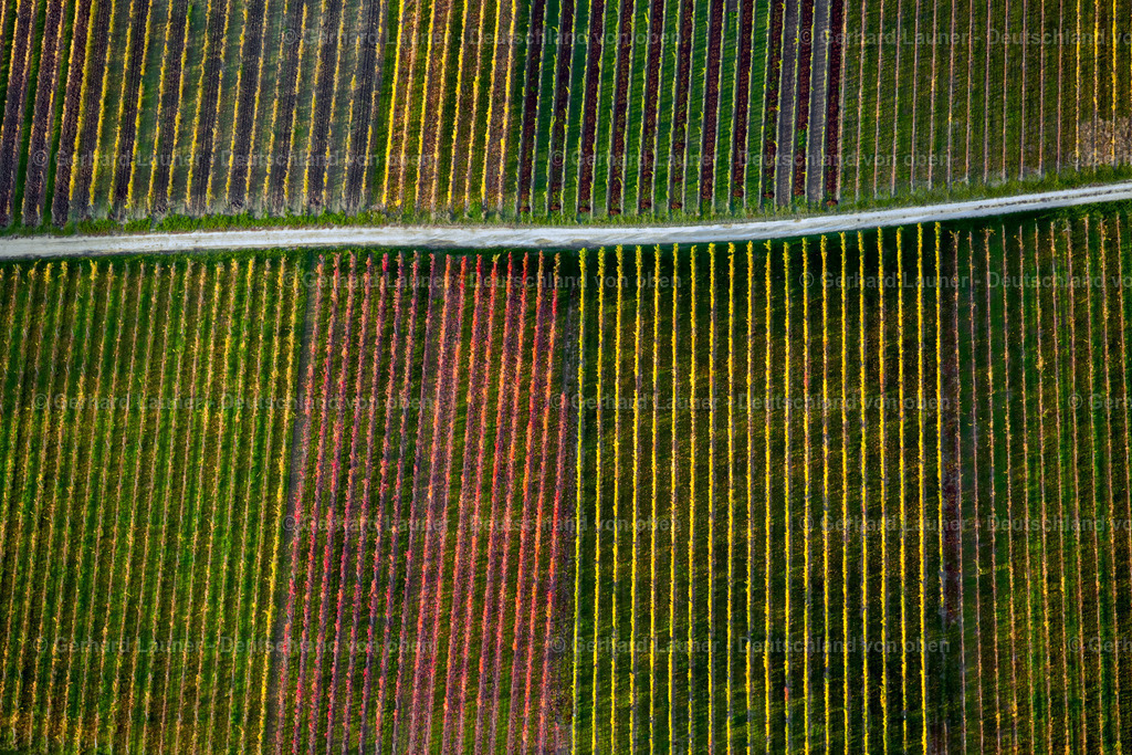 3905493 | Weinberge am Busigberg Großheubach