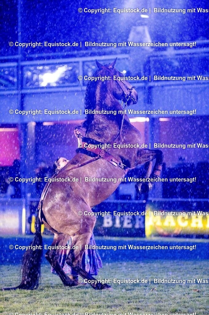 20250606_Lange-Pferdenacht_1147 | Foto: Thomas Hartig